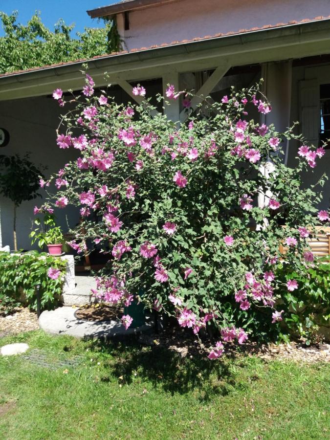 Bed and Breakfast Les Eygletières Bourriot-Bergonce Esterno foto