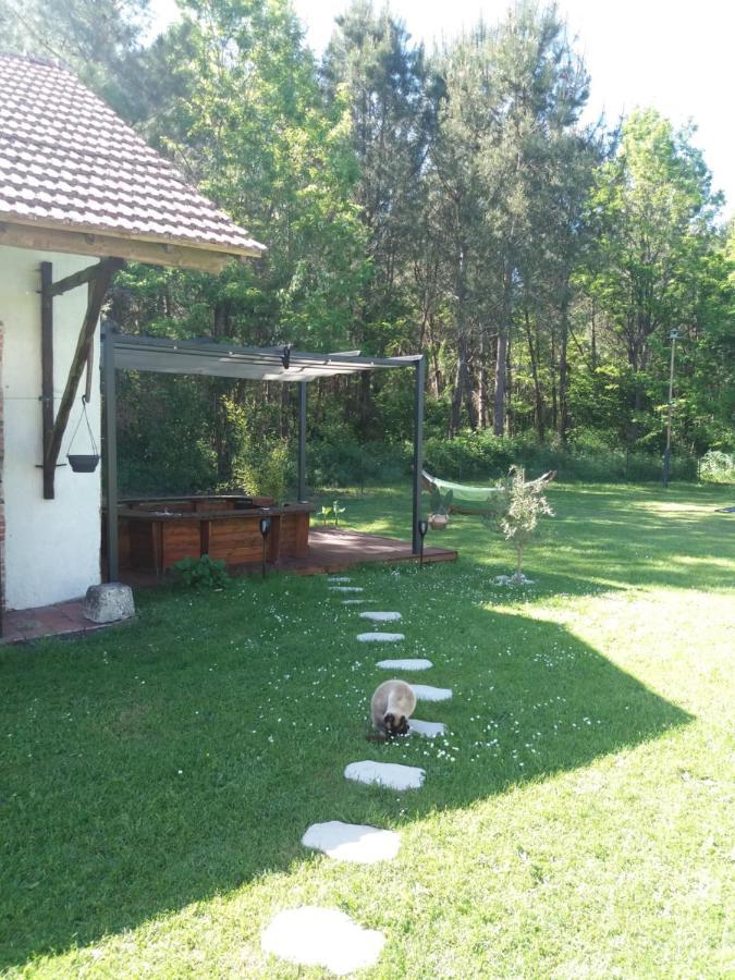 Bed and Breakfast Les Eygletières Bourriot-Bergonce Esterno foto
